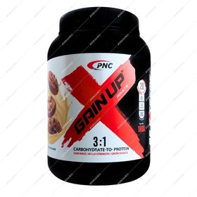 پودر گین آپ بیسکویتی 1800گرمی پی ان سی